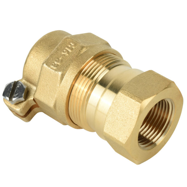 BW-302A BRASS FEMALE PACKJOINT ADAPTOR (2)