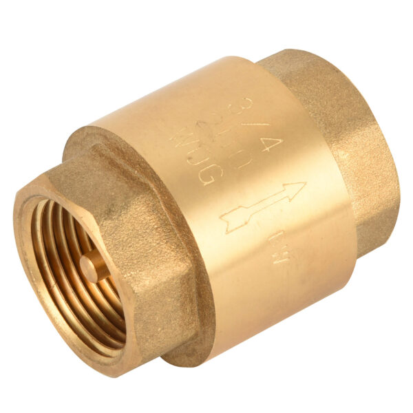 BW-LFC03 LF brass Non Return Valve (2)