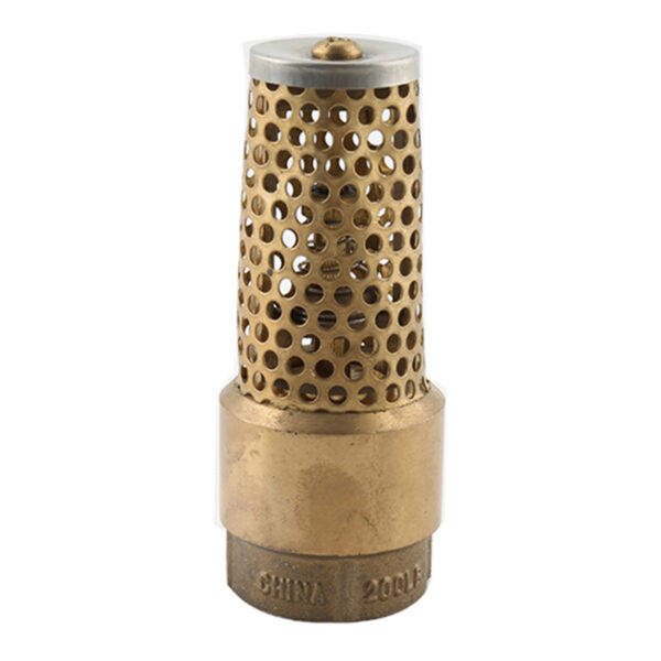 BW C08A Brass Foot Valve (1)