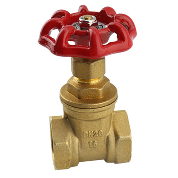 BW G06 Brass Gate Valve With Castiron Handle (3)