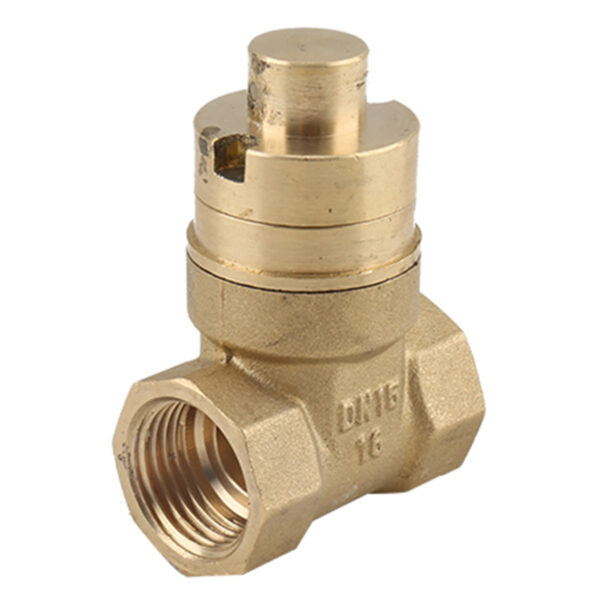 BW G13 Magnetic Lockable Gate Valve (2)