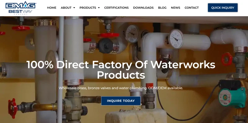 Www.bwvalve.com
