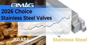 Why Stainless Steel Valves Are The 2026 Choice BMAG